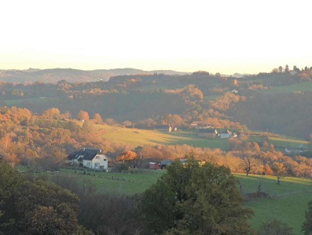 v9c_paysage maison.jpg